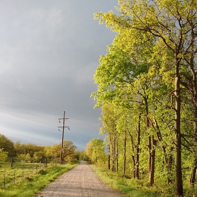 IMG_20170430_213545_971